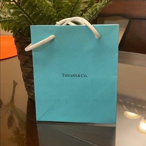 Small Tiffany & Co. shopping bag